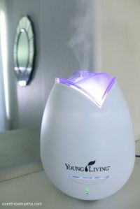 Home Diffuser 1